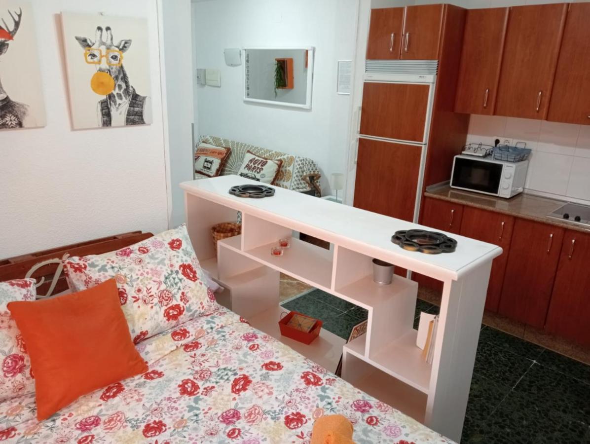 Apartamento Con Encanto 'larios Studio' Lejlighed